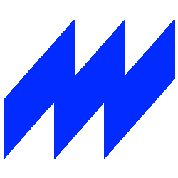Warrior Sports Shoes